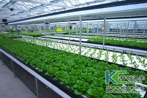 無土栽培，水培，營養液