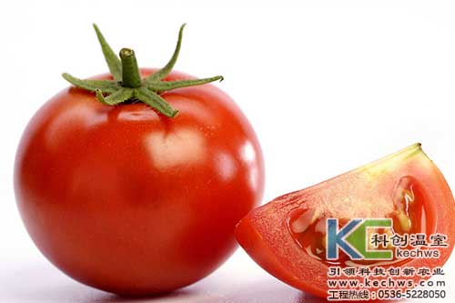 無土栽培，無土栽培技術(shù)，無土栽培設(shè)備