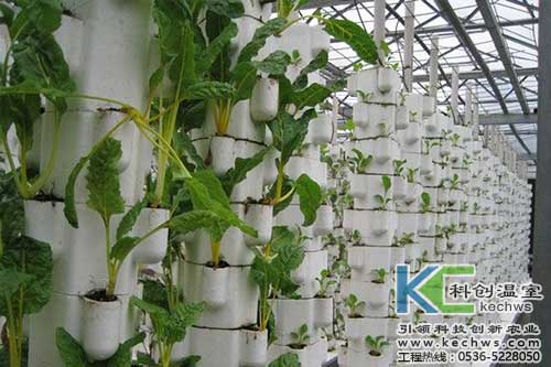無土栽培，無土栽培技術，無土栽培設備