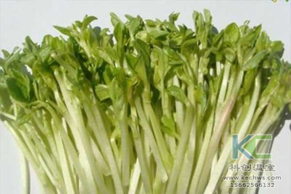 無土栽培，無土栽培基質