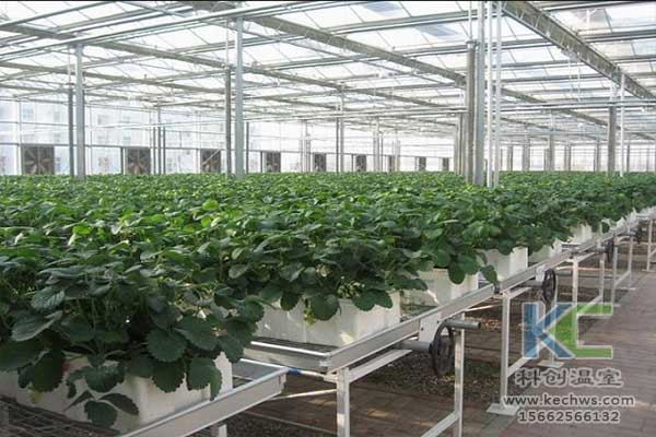 無土栽培，無土栽培技術(shù)