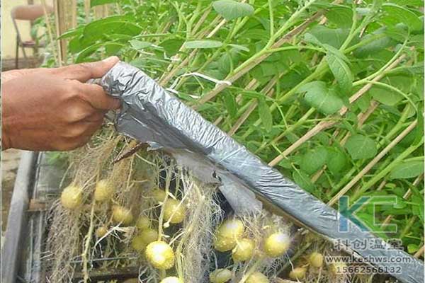 無(wú)土栽培，無(wú)土栽培技術(shù)，無(wú)土栽培設(shè)備