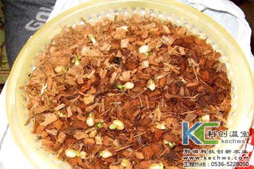 無土栽培，無土栽培技術，無土栽培基質