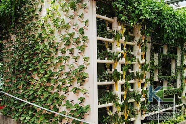 無土栽培，無土栽培技術，無土栽培設備