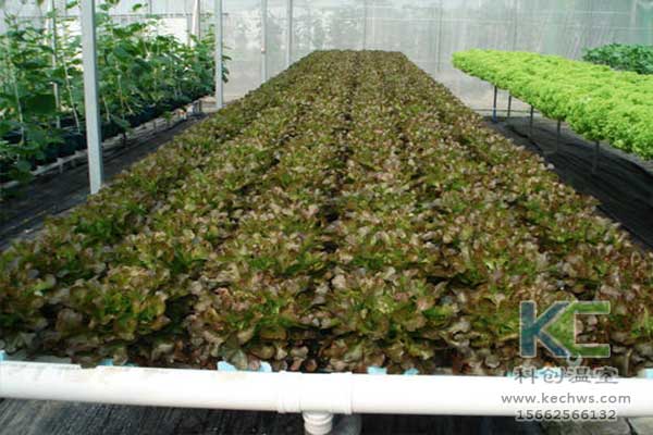無土栽培，無土栽培技術，無土栽培設備