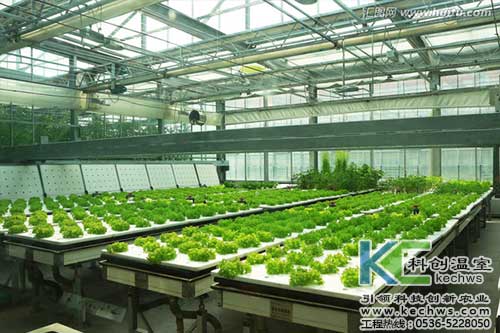 無土栽培，無土栽培技術，無土栽培設備
