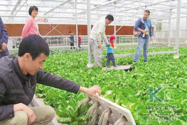無土栽培，無土栽培技術，無土栽培設備