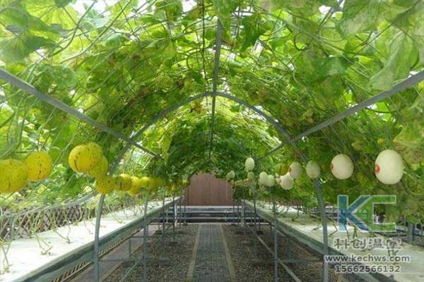 無土栽培，無土栽培技術，無土栽培設備