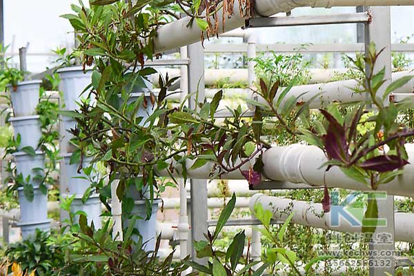 無土栽培，無土栽培技術(shù)，無土栽培設備