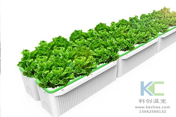 無土栽培，無土栽培技術(shù)，無土栽培設(shè)備