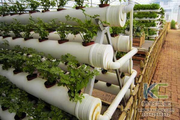 無土栽培，無土栽培技術(shù)，無土栽培設(shè)備