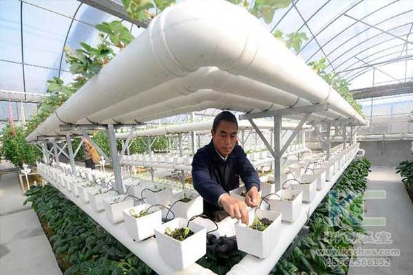 無(wú)土栽培，無(wú)土栽培技術(shù)，無(wú)土栽培設(shè)備