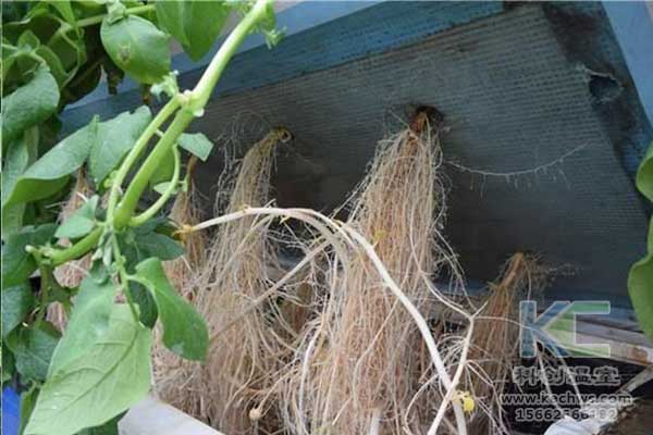 無(wú)土栽培，無(wú)土栽培技術(shù)，無(wú)土栽培設(shè)備