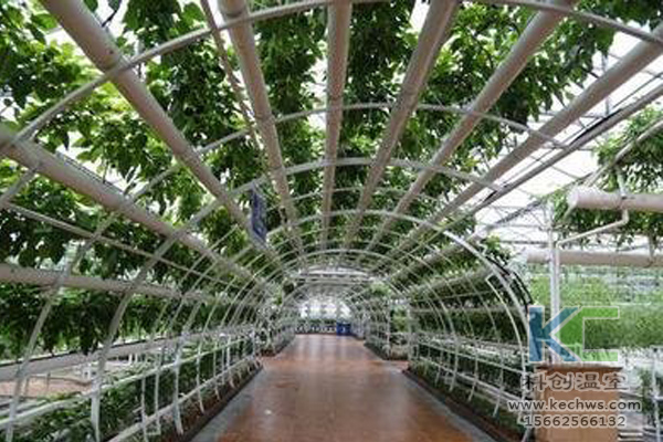 無土栽培，無土栽培技術(shù)，無土栽培設(shè)備