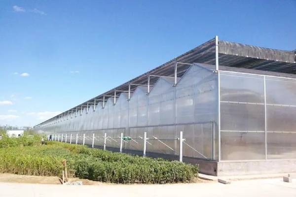 無土栽培，無土栽培技術，無土栽培設備