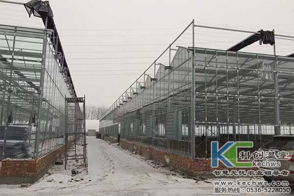 無(wú)土栽培，無(wú)土栽培技術(shù)，無(wú)土栽培設(shè)備