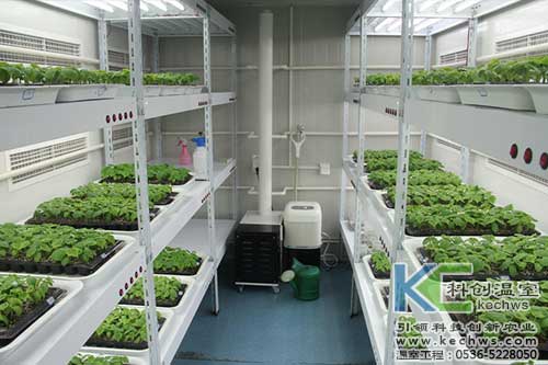 無土栽培，無土栽培技術(shù)，無土栽培設(shè)備