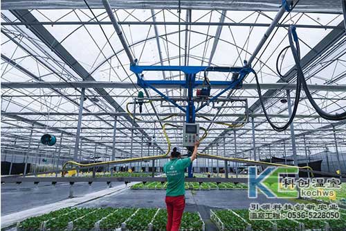 無(wú)土栽培，無(wú)土栽培技術(shù)，無(wú)土栽培設(shè)備