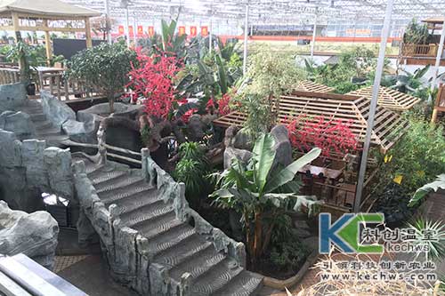 無(wú)土栽培，無(wú)土栽培技術(shù)，無(wú)土栽培設(shè)備