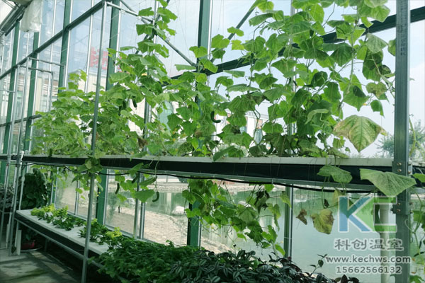 無土栽培技術，無土栽培設備，溫室大棚，無土栽培