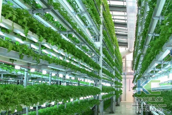 無土栽培技術，無土栽培設備，無土栽培，溫室大棚
