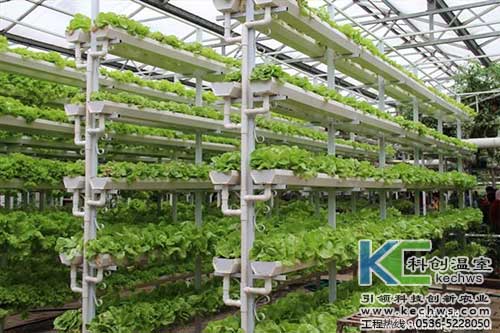 無土栽培，無土栽培技術，無土栽培設備