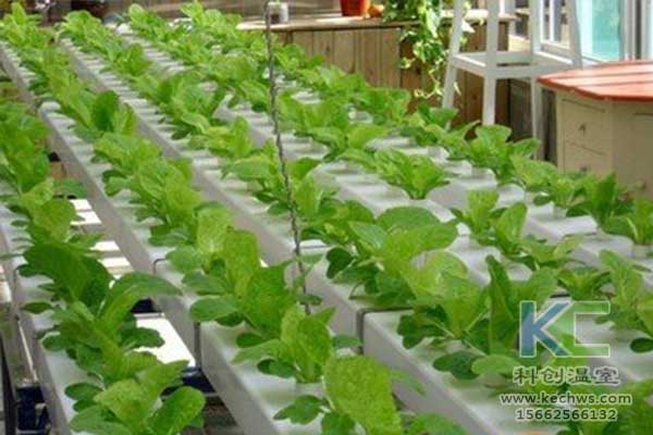 無土栽培，無土栽培技術，無土栽培營養液