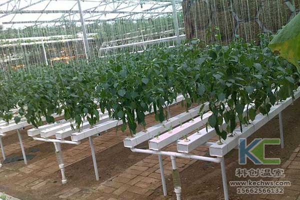 無土栽培，無土栽培技術，無土栽培設備