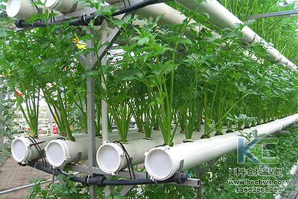 無土栽培，無土栽培技術，無土栽培設備