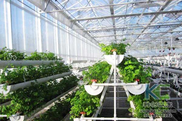 無(wú)土栽培，無(wú)土栽培技術(shù)，無(wú)土栽培設(shè)備