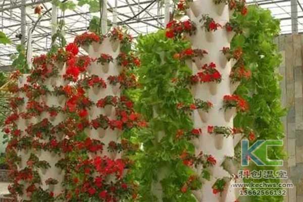 無土栽培，無土栽培技術，無土栽培設備