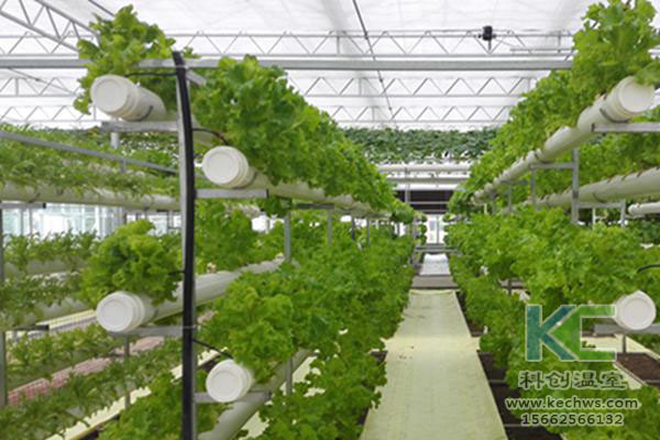無土栽培，無土栽培技術(shù)，無土栽培設(shè)備