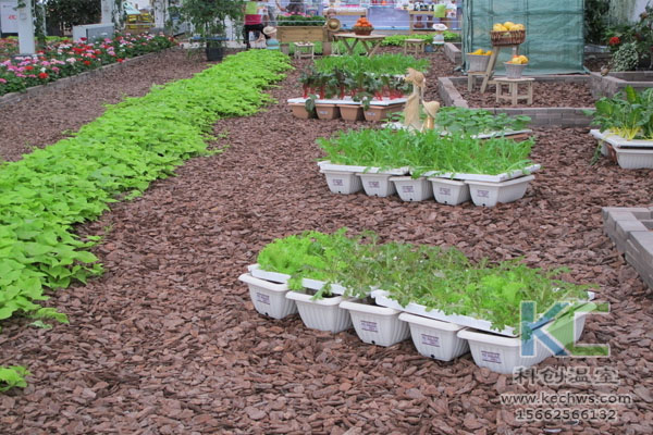 無(wú)土栽培，無(wú)土栽培技術(shù)，無(wú)土栽培設(shè)備