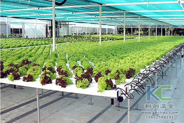 無土栽培，無土栽培技術，無土栽培設備