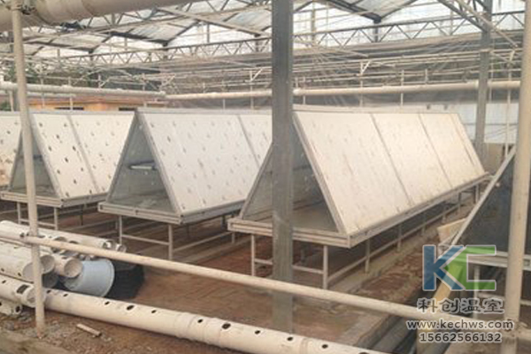 有機蔬菜栽培，無土栽培技術(shù)，無土栽培，溫室大棚