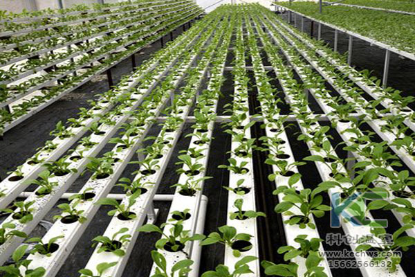 無土栽培，無土栽培技術，無土栽培設備