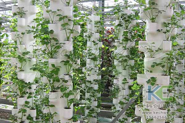 無土栽培技術,無土栽培設備,無土栽培,溫室大棚