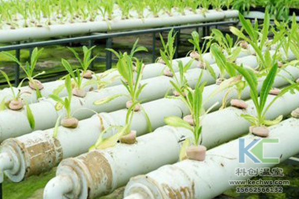 無(wú)土栽培技術(shù)，無(wú)土栽培設(shè)備，無(wú)土栽培，溫室大棚