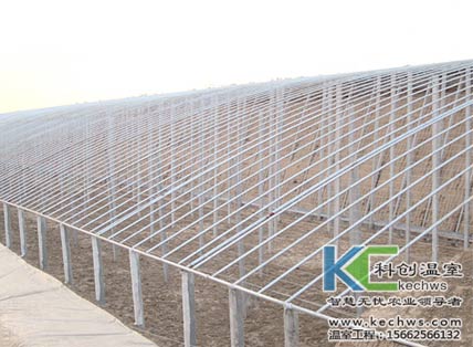 無土栽培，無土栽培技術，無土栽培設備