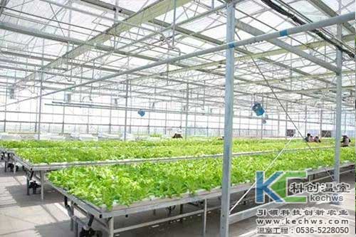 無土栽培，無土栽培技術，無土栽培設備