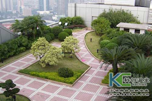 無(wú)土栽培,無(wú)土栽培技術(shù),花卉