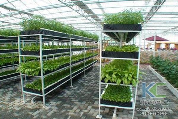 有機蔬菜栽培，無土栽培技術(shù)，無土栽培，溫室大棚