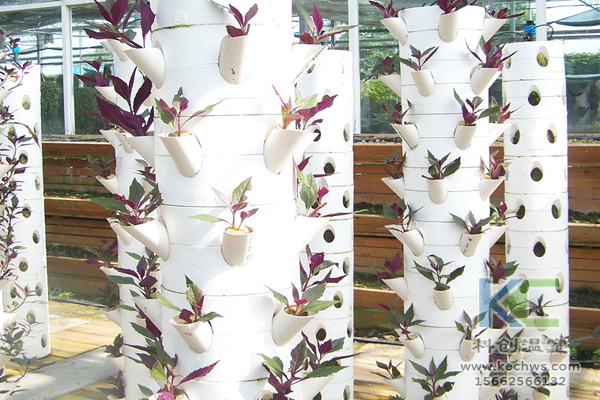 無土栽培，無土栽培技術(shù)，蔬菜栽培