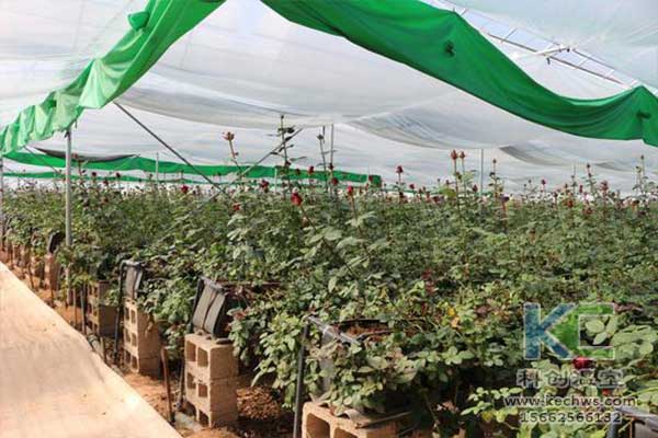 無土栽培，無土栽培技術，無土栽培設備