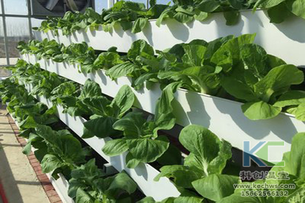 無(wú)土栽培，無(wú)土栽培技術(shù)，無(wú)土栽培設(shè)備