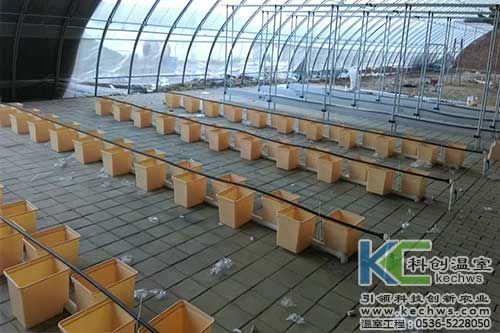 無(wú)土栽培,無(wú)土栽培設(shè)備,內(nèi)蒙古