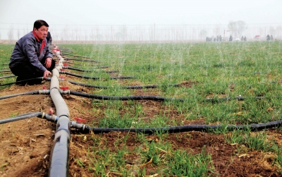 無土栽培，無土栽培技術(shù)，無土栽培設(shè)備