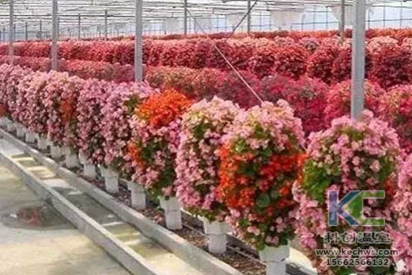 無土栽培，無土栽培技術，無土栽培設備