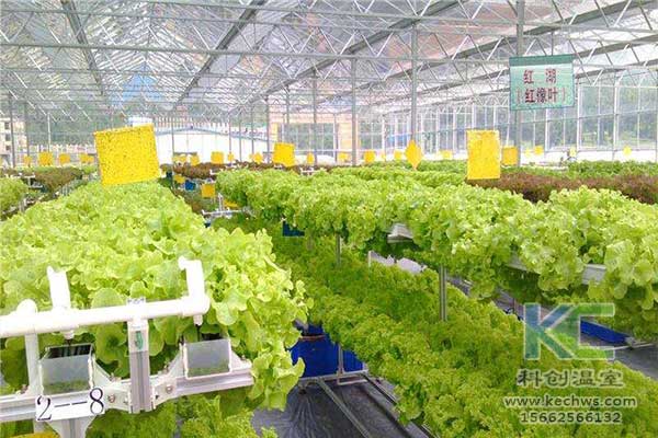 無土栽培，無土栽培技術(shù)，無土栽培設(shè)備