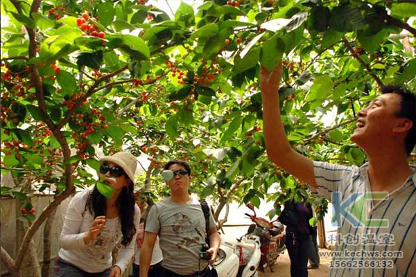 無土栽培，無土栽培技術(shù)，無土栽培設(shè)備